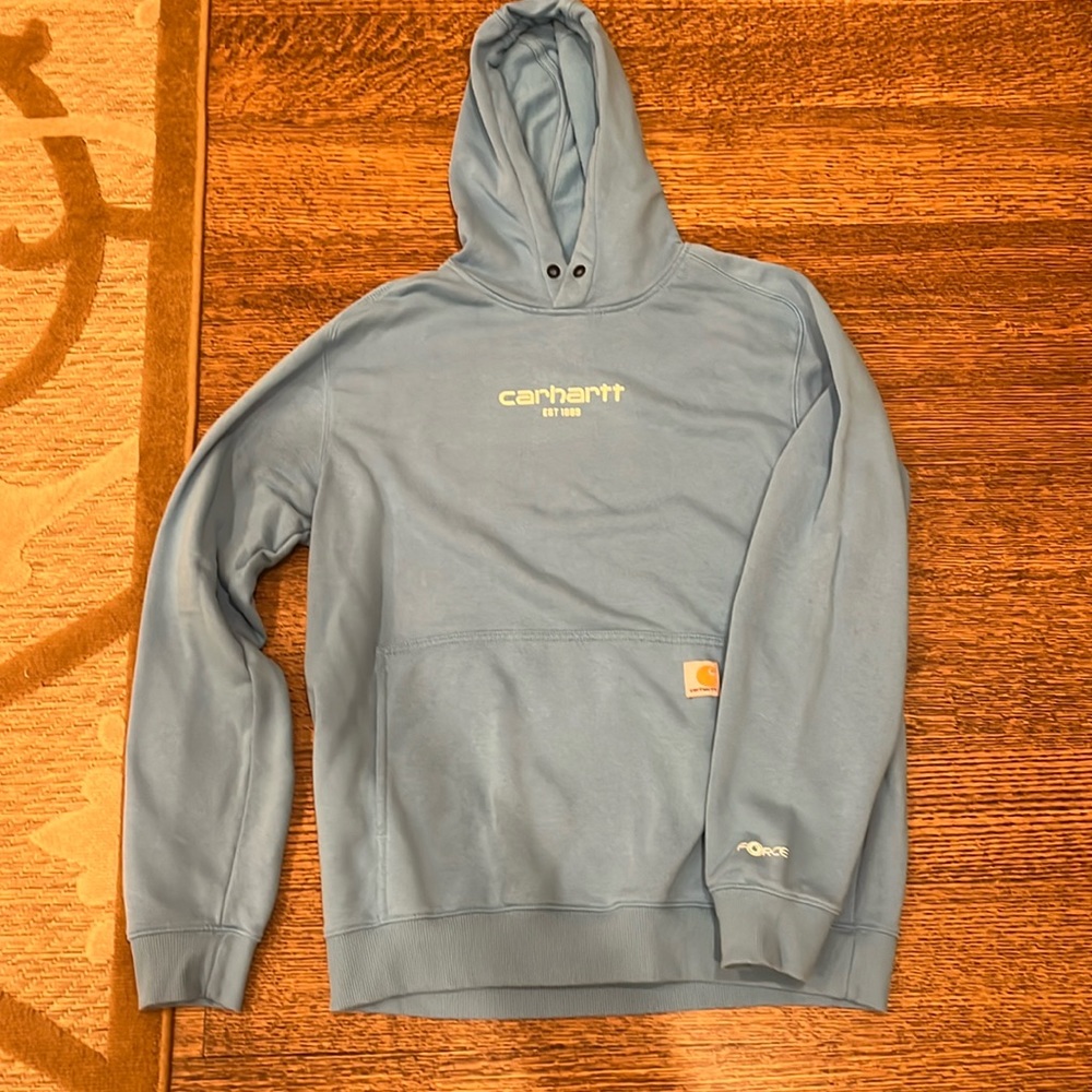 men’s blue carhartt hoodie